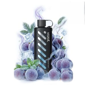 ویپ یکبار مصرف وزول گیر شیشا ۲۵۰۰۰ پاف بلوبری نعناع Vozol Gear Shisha 25000 Puff Blueberry Mint