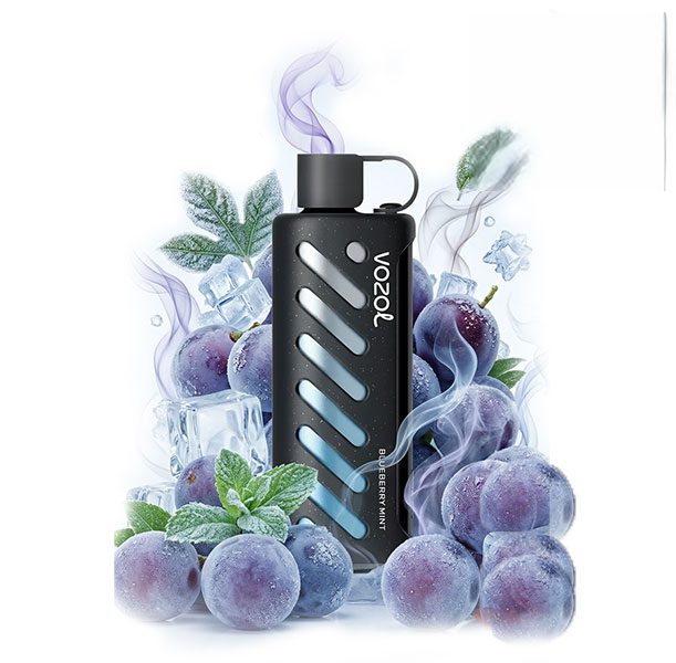ویپ یکبار مصرف وزول گیر شیشا ۲۵۰۰۰ پاف بلوبری نعناع | Vozol Gear Shisha Blueberry Mint