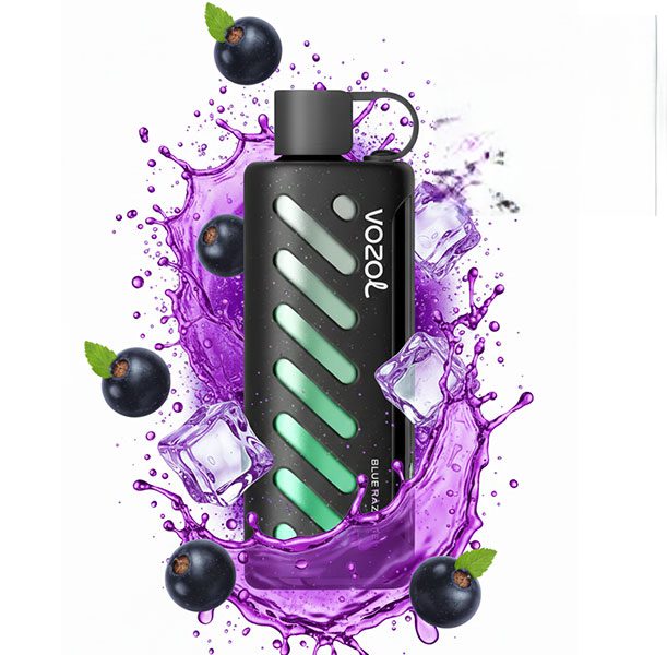ویپ یکبار مصرف وزول گیر شیشا ۲۵۰۰۰ پاف انگور فرنگی سیاه یخ | Vozol Gear Shisha Blackcurrant Ice